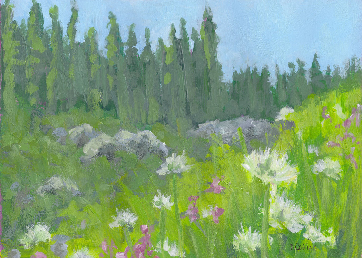 Quick study- Revelstoke alpine