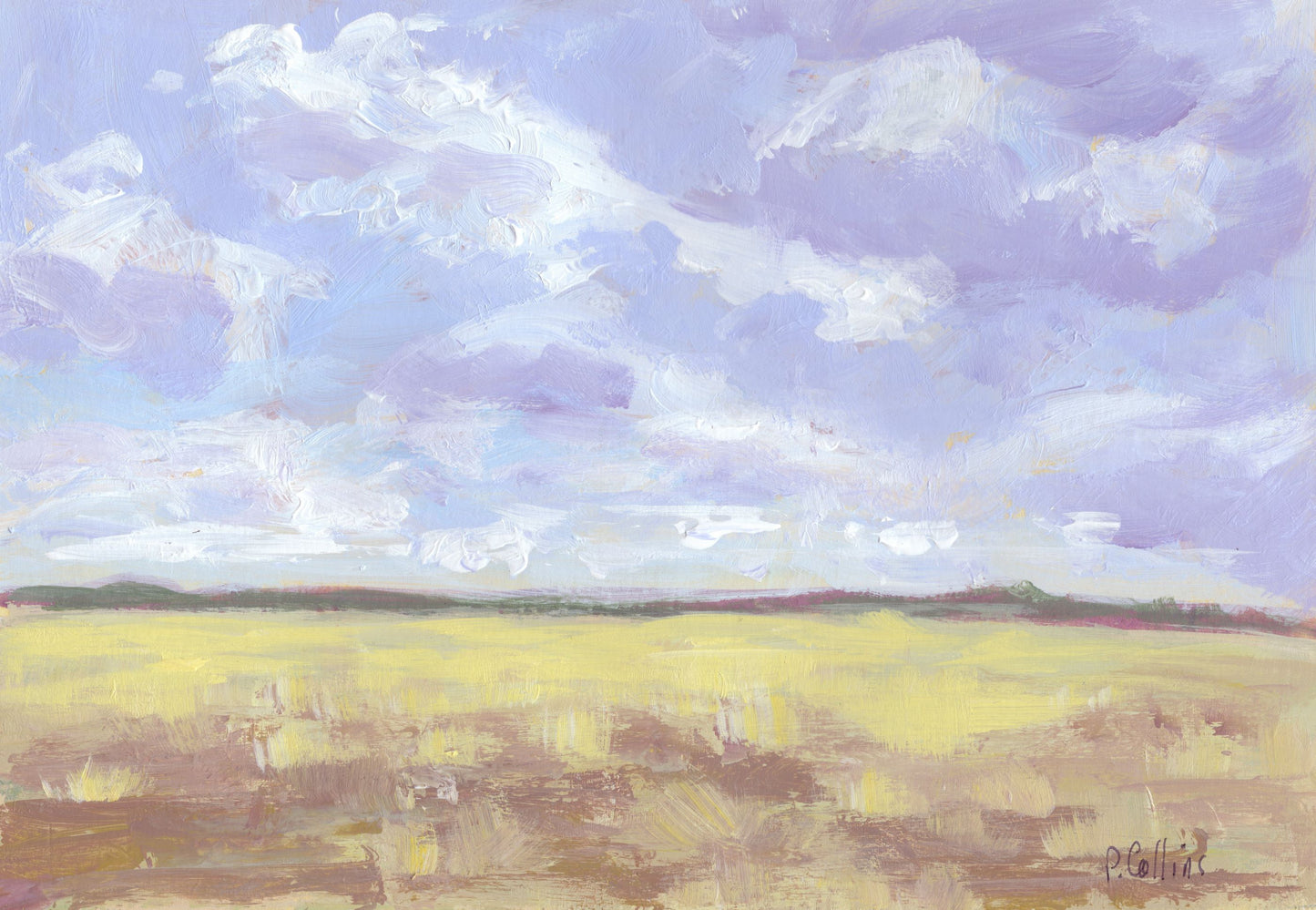 Quick Study- Painted Desert