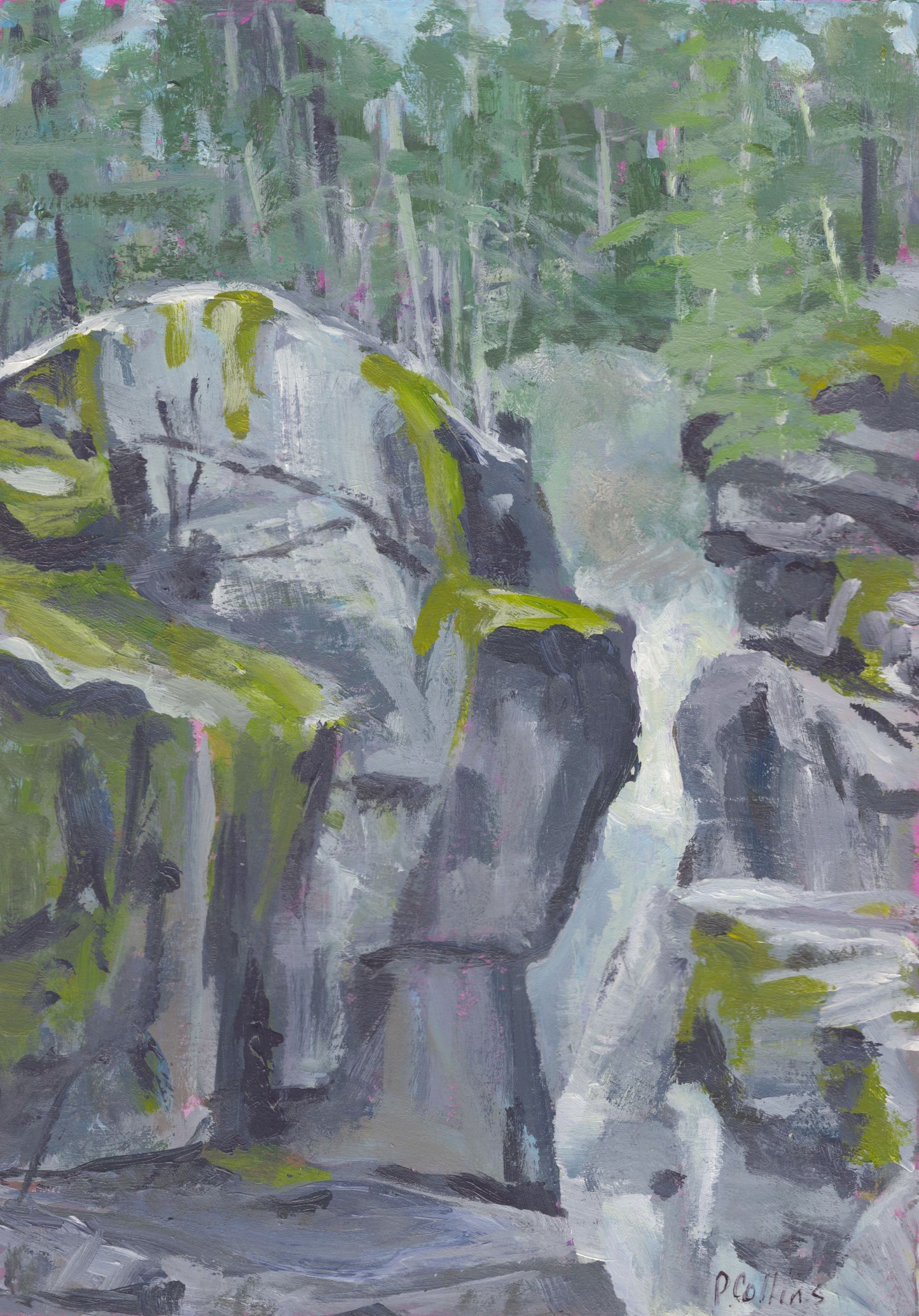 Quick Study- Nairn Falls