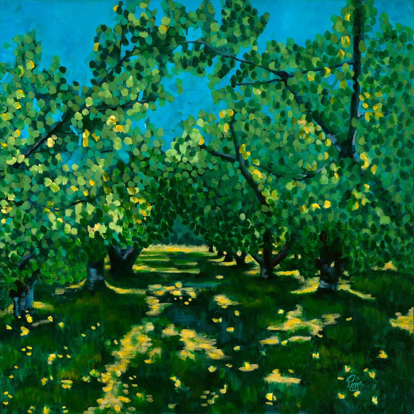 Shady Paradise