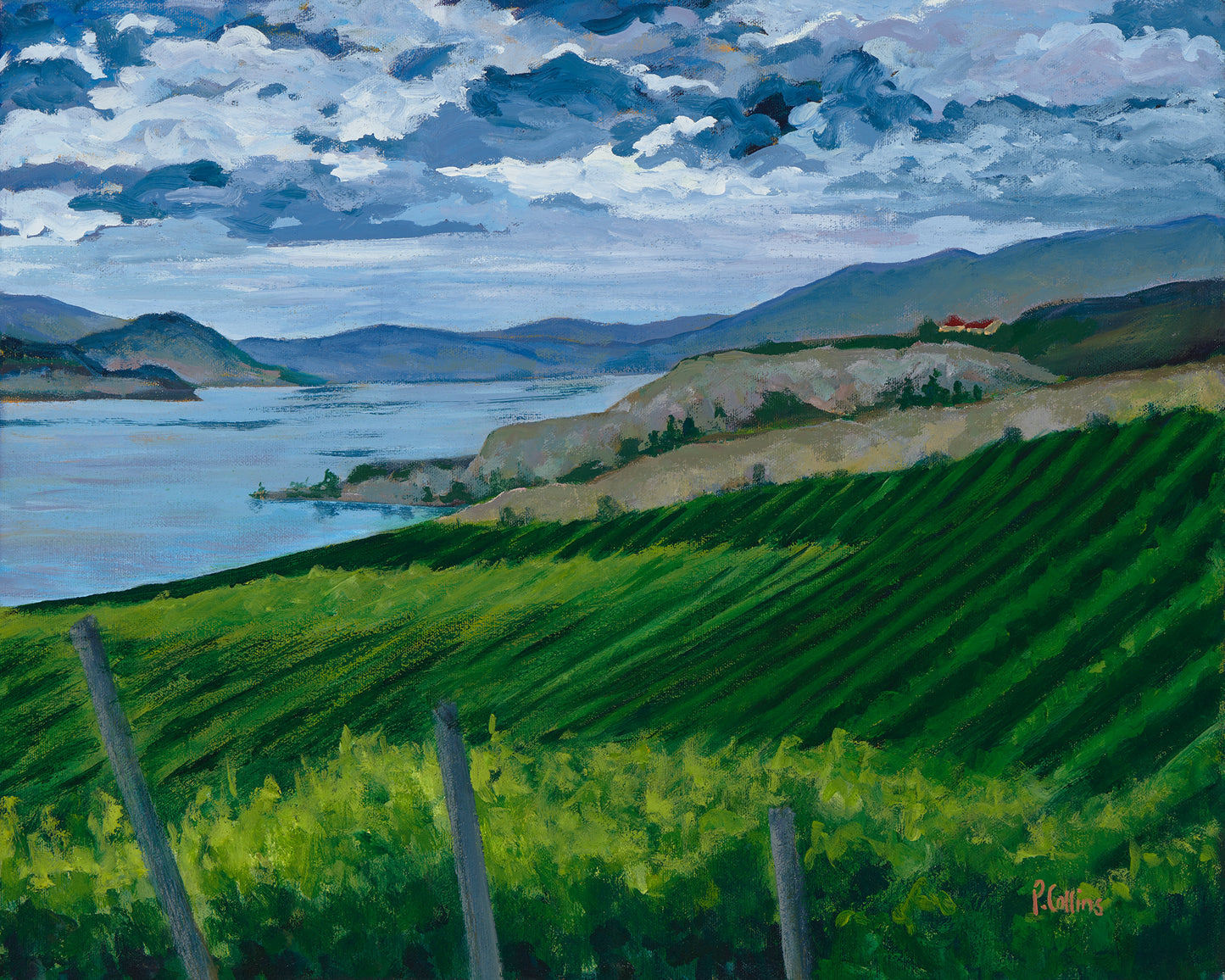 Naramata Vineyards