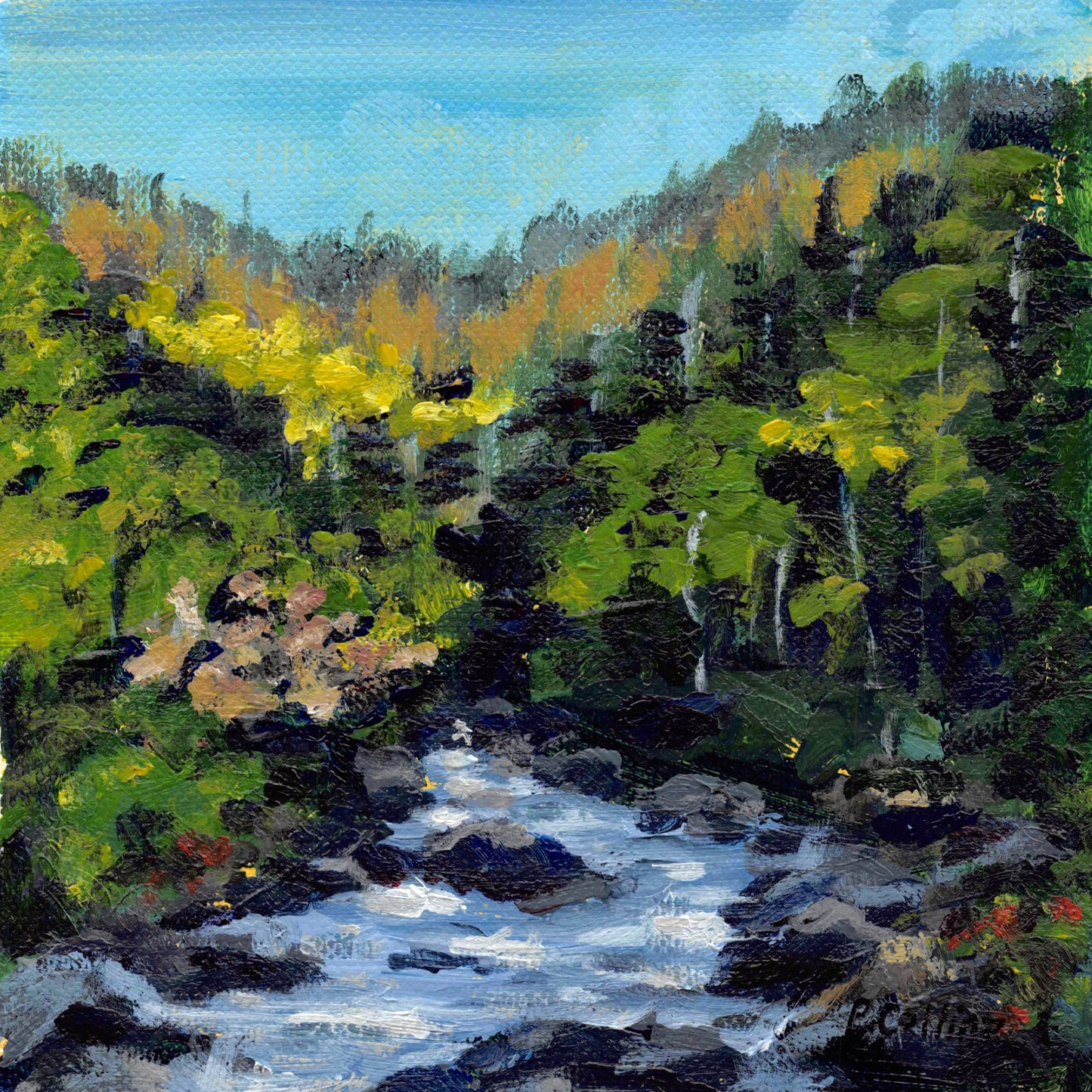 Newfoundland riverside