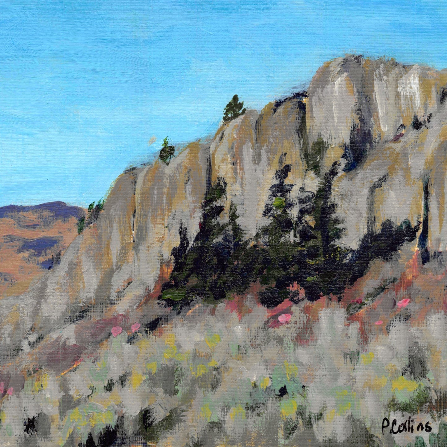 Okanagan Cliffs