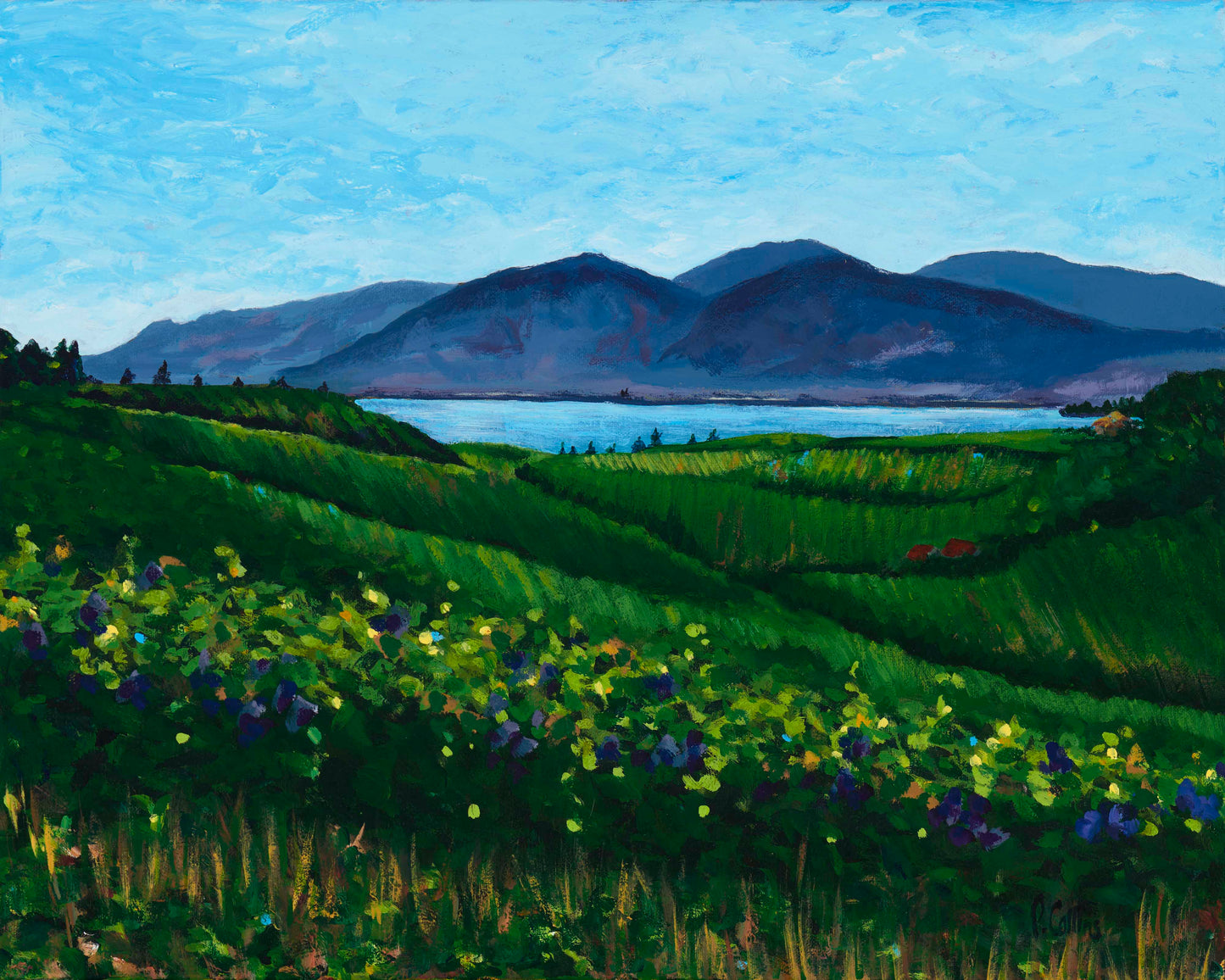 Penticton Hills