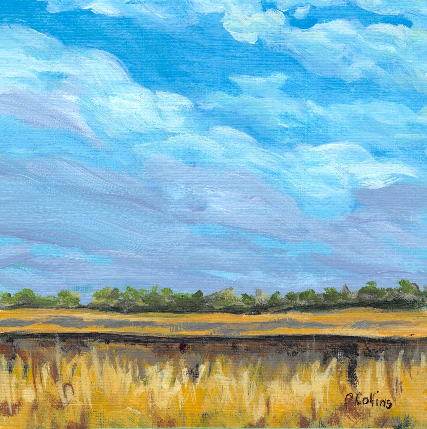 Prairie Sky
