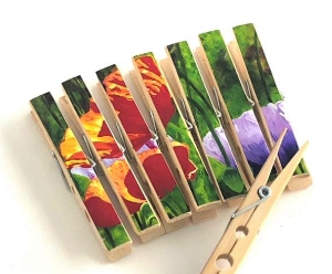 Clothes Pegs - Spanish Poppies