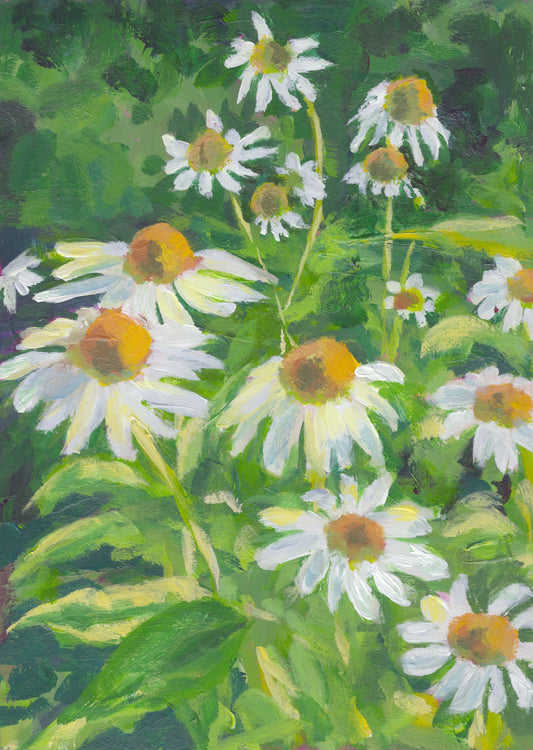 Quick Study- Daisy a day