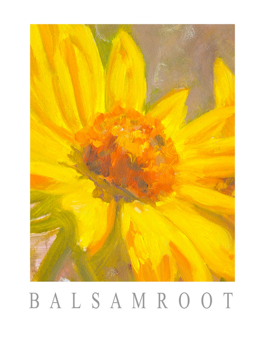 Poster - Balsamroot