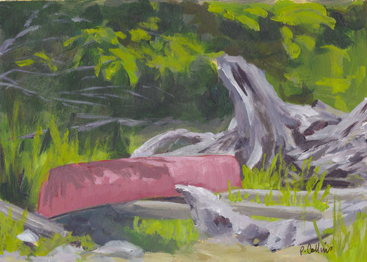 Quick Study- Halcyon Hot Springs
