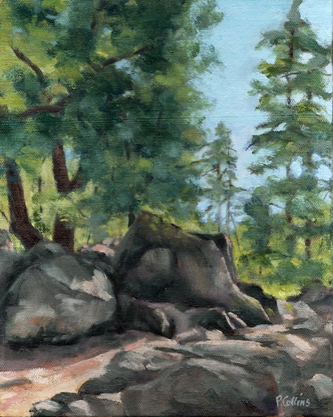 Walk in the woods