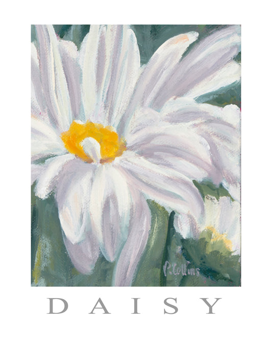Poster - White Daisy