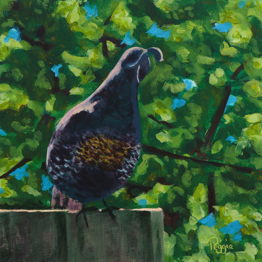 Magnet/Sticker - Quail on a fence